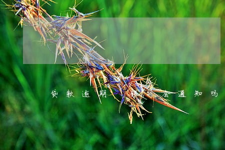 贷款逾期 银行会通知吗 贷款逾期 银行会通知吗
